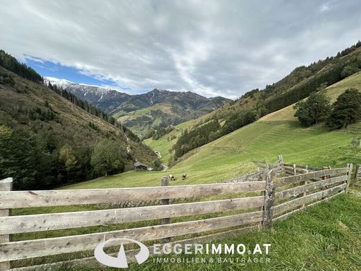 Ferme à Rauris, Politischer Bezirk Zell am See