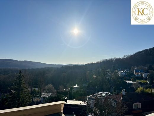 Villa in Vienna, Wien Stadt