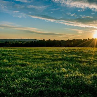 Fattoria a Neunkirchen, Politischer Bezirk Neunkirchen