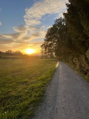 Terrain à Eugendorf, Politischer Bezirk Salzburg-Umgebung