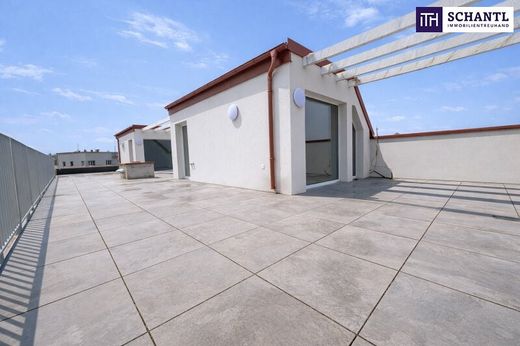 Apartment in Traiskirchen, Politischer Bezirk Baden