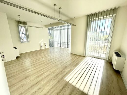 Ofis Neusiedl am See, Politischer Bezirk Neusiedl am See