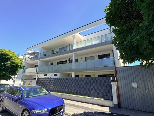 Apartment in Groß-Enzersdorf, Politischer Bezirk Gänserndorf