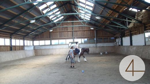 Ferme à Lichtenberg, Politischer Bezirk Waidhofen an der Thaya