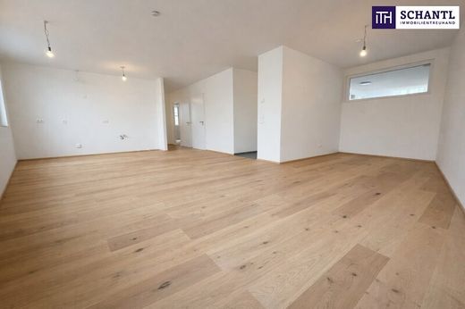 Apartment in Traiskirchen, Politischer Bezirk Baden