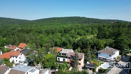 ‏בתי יוקרה ב  אוקלנד, Wien Stadt