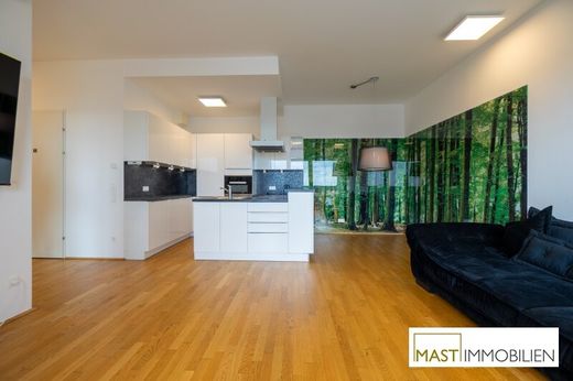 Penthouse in Vienna, Wien Stadt