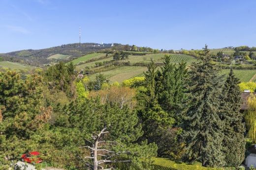 Daire Viyana, Wien Stadt