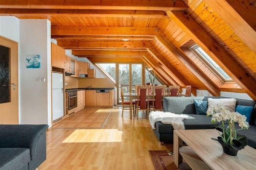 Apartment in Lipno nad Vltavou, Cesky Keumlov