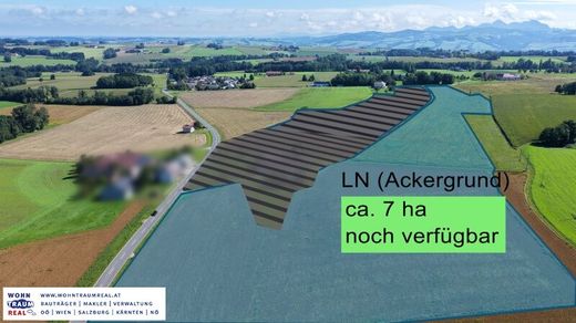 Farma w Pratsdorf, Politischer Bezirk Kirchdorf an der Krems