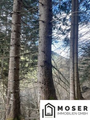 Farm in Murau, Politischer Bezirk Murau