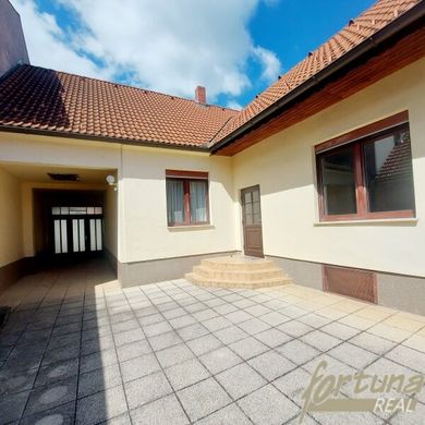 Luxus-Haus in Wallern im Burgenland, Politischer Bezirk Neusiedl am See