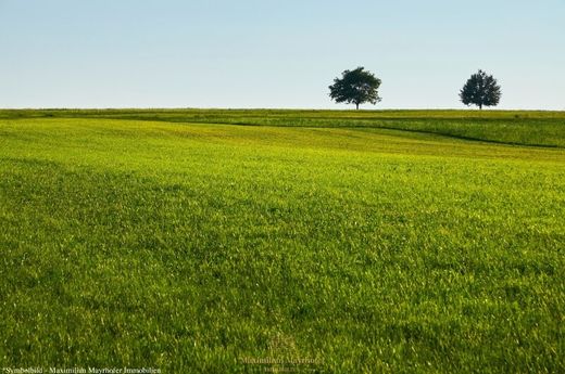 Terreno a Gänserndorf, Politischer Bezirk Gänserndorf