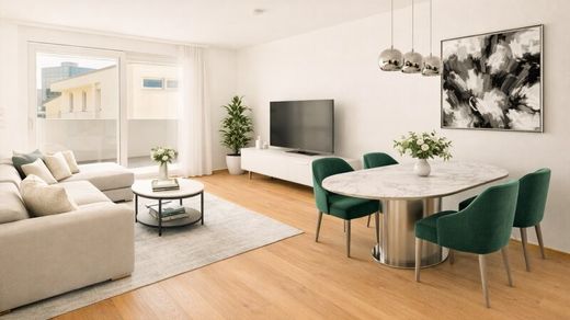 Daire Dornbirn, Politischer Bezirk Dornbirn