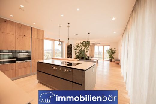 호화 저택 / Wels, Wels Stadt