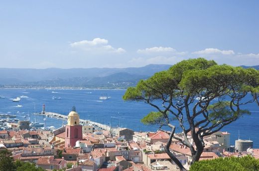 Terrain à Saint-Tropez, Var