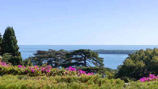 Appartamento a Cannes, Alpi Marittime