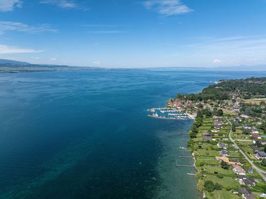 Nernier, Haute-Savoieのヴィラ