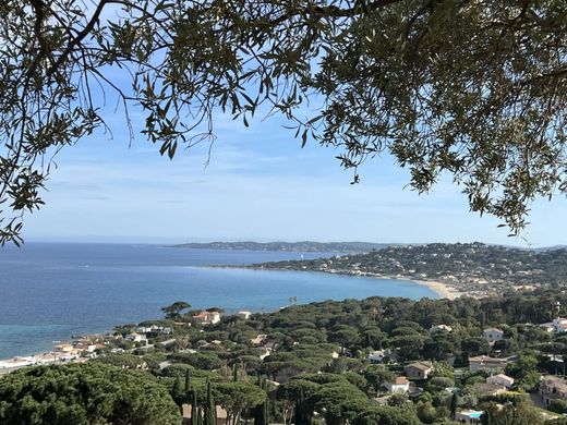 Villa Sainte-Maxime, Var