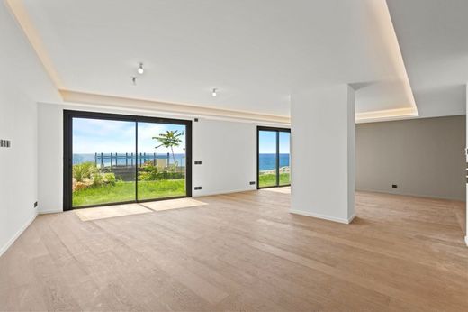 Piso / Apartamento en Cap-d'Ail, Alpes Marítimos