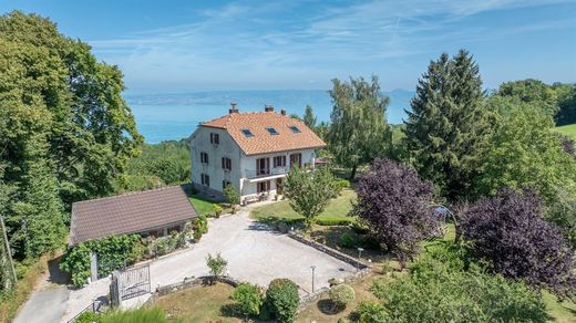 Villa in Saint-Paul-en-Chablais, Haute-Savoie