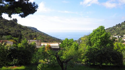 Terreno - La Turbie, Alpes Marítimos