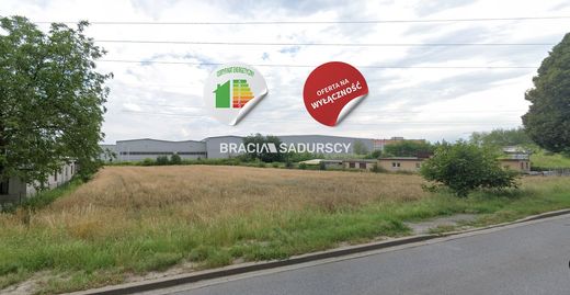 토지 / Kraków, Lesser Poland Voivodeship