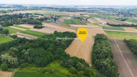 토지 / Kraków, Lesser Poland Voivodeship