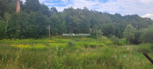 Nowy Sącz, Lesser Poland Voivodeshipの土地