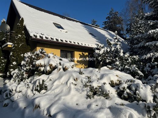 호화 저택 / Łapanów, Powiat bocheński