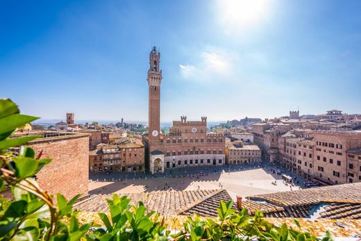 بنتهاوس ﻓﻲ سيينا, Provincia di Siena