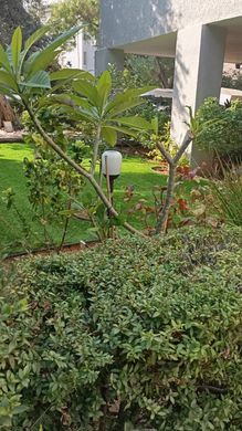 套间/公寓  Raanana, Central District