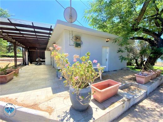 Casa de luxo - H̱oreshim, Central District