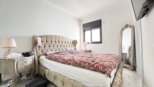 Penthouse in Rechowot, Central District