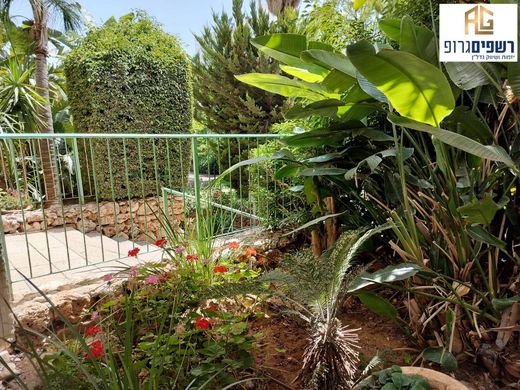 Daire Kfar Saba, Central District