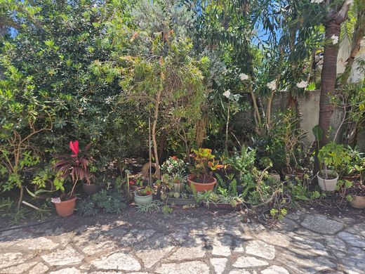 Apartment in Tel Aviv Yaffo, Tel Aviv