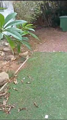 Maison de luxe à Ness Ziona, Central District