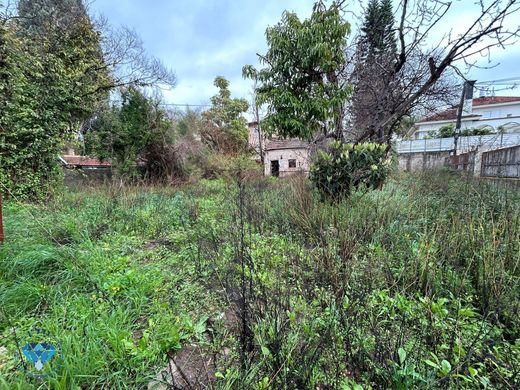 Luxury home in Ness Ziona, Central District