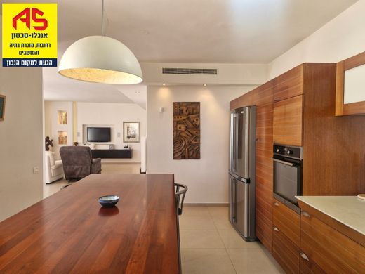 Penthouse in Rechowot, Central District