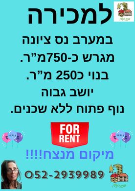 ‏בתי יוקרה ב  Ness Ziona, Meẖoz HaMerkaz