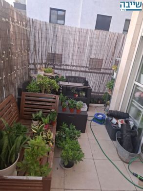 Квартира, Реховот, Central District