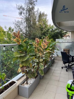 Appartement à Givatayim, Tel Aviv District