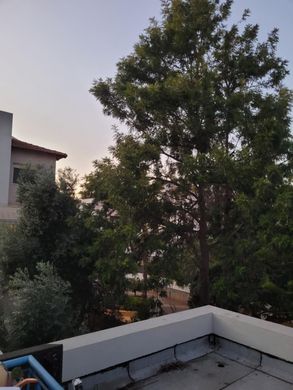 Townhouse in Kfar Saba, Central District