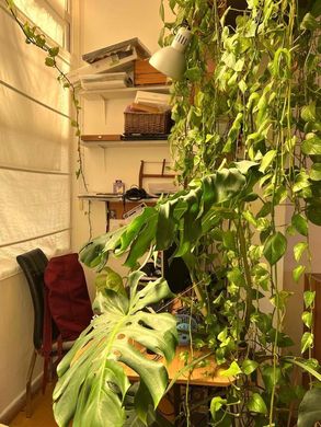 Apartamento - Tel Aviv, Tel Aviv District