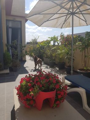 Penthouse w Tel Awiw, Tel Aviv District