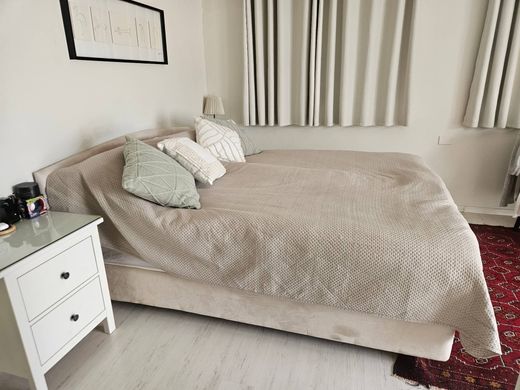 호화 저택 / Tel Aviv, Tel Aviv District