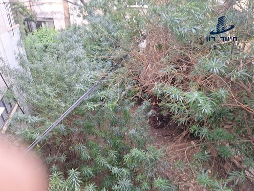 Appartamento a Givatayim, Tel Aviv District