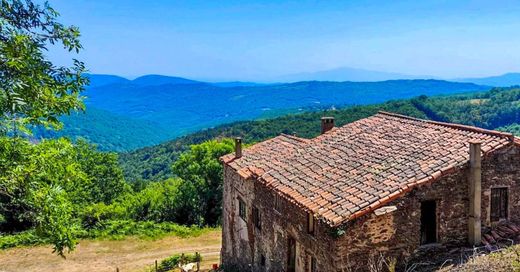 Villa in Ceret, Pyrénées-Orientales