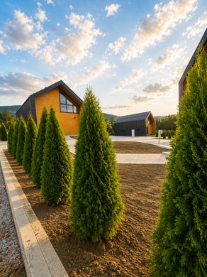 Вилла, Златибор, Zlatibor