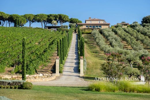 Farma w Massa Marittima, Provincia di Grosseto